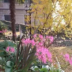 Clementina Bed & Breakfast Laveno-Mombello